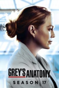 Nonton Grey’s Anatomy: Season 17